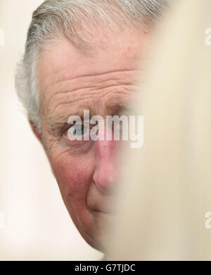 The Prince of Wales during a reception to launch the Travels to My Elephant Rickshaw race at Clarence House, London. Stock Photo