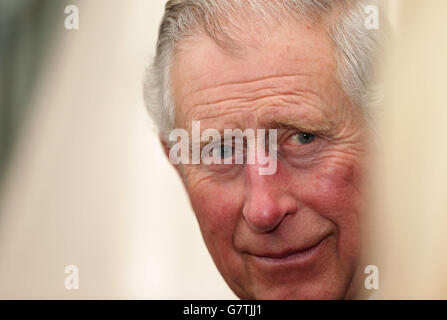 The Prince of Wales during a reception to launch the Travels to My Elephant Rickshaw race at Clarence House, London. Stock Photo