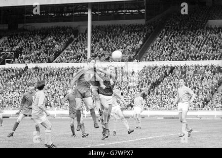 North Shields' R Hall, in a close tussle with Sutton United goalkeeper R Roffey, scores Shields' first goal in the FA Amateur Cup final at Wembley. Stock Photo