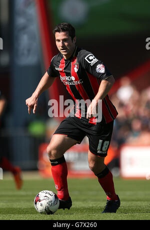 Soccer - Sky Bet Championship - Bournemouth v Sheffield Wednesday - Dean Court. AFC Bournemouth's Yann Kermorgant Stock Photo