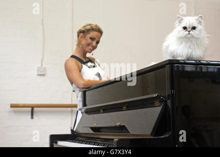 Britain's Happiest Cat auditions Stock Photo