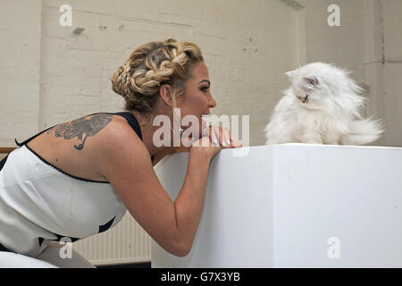 Britain's Happiest Cat auditions Stock Photo