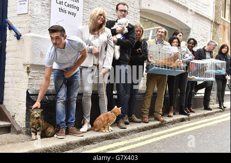 Britain's Happiest Cat Auditions - London. s Happiest Cat and the new face of O2 Refresh, the network's Pay Monthly tariff. Stock Photo