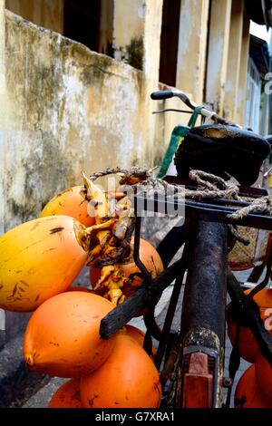 Coconuts for sale tied to an old black bicycle in Galle Sri Lanka Stock Photo