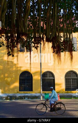 man riding a bicycle on a shady street in Galle, Sri Lanka Stock Photo