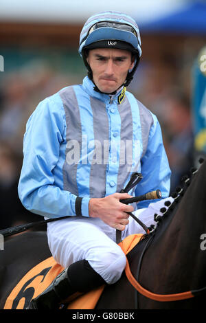 Horse Racing - 2015 Dante Festival - Tattersalls Musidora Stakes - York Racecourse. Daniel Tudhope, jockey Stock Photo