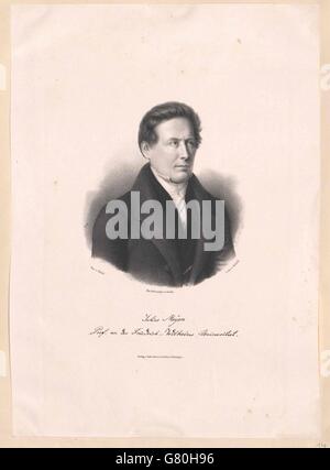 Meyen, Franz Julius Ferdinand Stock Photo Alamy
