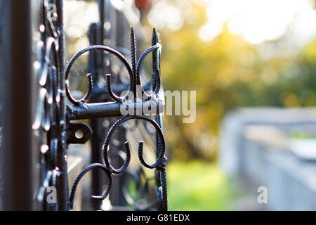 Black painted handmade iron fence in a cemetery Stock Photo