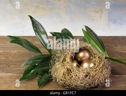 Three golden eggs in nest with branch and sky background close up Stock Photo