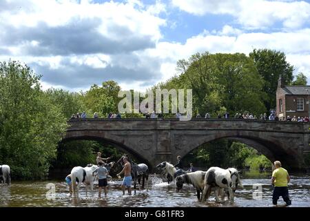 People watch from the bridge as members of the travelling community wash their horses in the river Eden at the start of the Appleby Horse Fair, the annual gathering of gypsies and travellers in Appleby, Cumbria. Stock Photo
