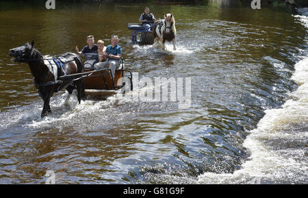 Members of the travelling community take the horse and traps into the river Eden at the start of the Appleby Horse Fair, the annual gathering of gypsies and travellers in Appleby, Cumbria. Stock Photo