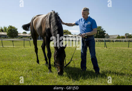 Horse Racing - 2015 Investec Derby Festival - Derby Winners Photocall - Clarehaven Stables. Epsom Derby Winner Golden Horn with Handler Michael Curran during a photocall at Clarehaven Stables, Newmarket. Stock Photo