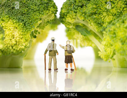 miniature figures older people walking on broccoli trees isolated on white Stock Photo