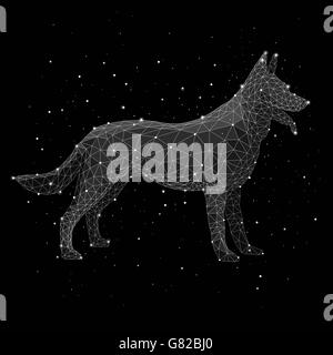 Digital composite image of constellation forming wolf against black background Stock Photo