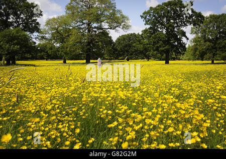 Summer weather June 7th 2015 Stock Photo