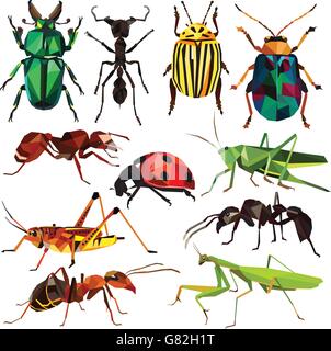 Insect set colorful low poly bug, beetle and ant designs isolated on white background. Vector insects illustration. Stock Vector