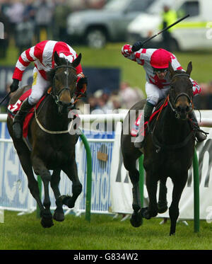 Horse Racing - Scottish Grand National - Ayr Racecourse Stock Photo