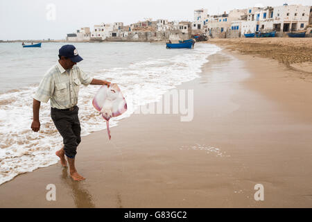 A fisherman brings his fresh catch ashore at Tifnit beach, near Agadir, Morocco. Stock Photo