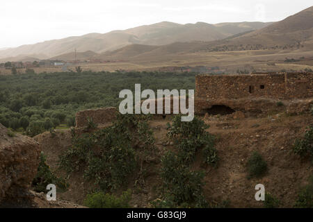 Stone houses overlooking an olive tree grove sit on an escarpment in the village of Douirane, Morocco. Stock Photo