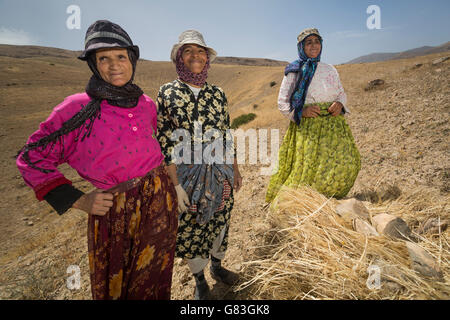 Women farmers in Douirane, Morocco. Stock Photo