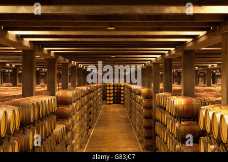 Wine Barrels underground in a Rioja Winery, Northern Spain Stock Photo
