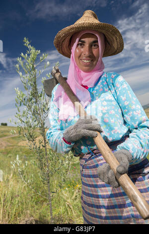 A small farmer stands in her olive tree field in the village of Kouassem Oulad Addou, Morocco. Stock Photo