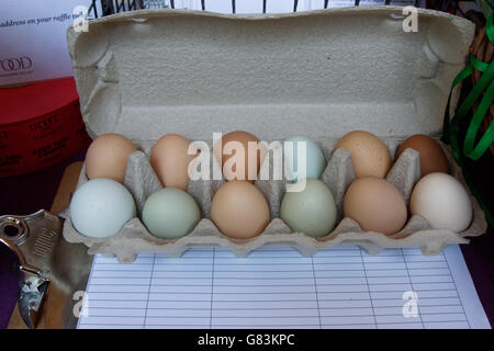 A dozen eggs from the Hudson Valley for sale at the Battery Fair in Lower Manhattan, New York City are naturally multi-colored Stock Photo