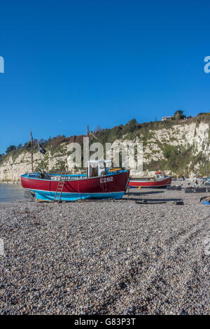 England Devon Beer Fishing boats on the beach  Adrian Baker Stock Photo