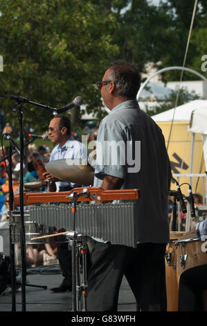 Vocalist and percussionist playing for Mitch Frohman & The Bronx Horns, a Mambo Orchestra Stock Photo