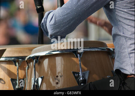 Vocalist and percussionist playing congo drums for Mitch Frohman & The Bronx Horns, a Mambo Orchestra Stock Photo