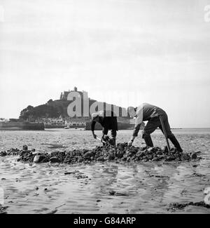 Off-shore anglers Michael Allen and William Moyle dig for lugworms to use as bait at Marazion in Cornwall. In the background is St Michael's Mount. Stock Photo