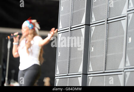 Motor Racing - Formula One World Championship - 2015 British Grand Prix - Practice Day - Silverstone Circuit Stock Photo