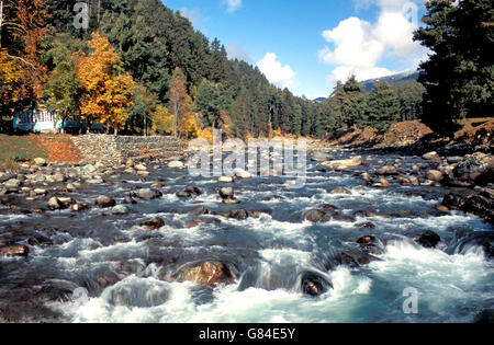 Pahalgam valley and Lidder river, Kashmir, India Stock Photo