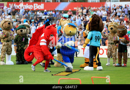 Wimbledon mascot Haydon the Womble (centre) and Leyton Orient club mascot Theo (left) during the mascot derby held during the interval Surrey versus Middlesex. Stock Photo