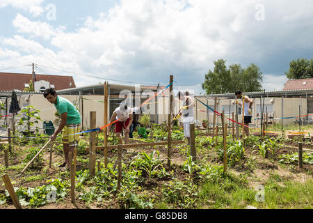 Scharnhausen, Germany - June 26, 2016: German volunteers were supporting African, Arabic and Asian refugees in setting up a smal Stock Photo