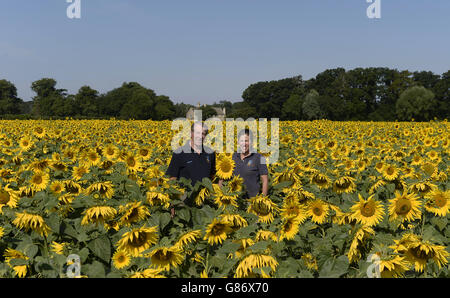 Nicholas Watts (left) and his daughter Lucy in one of their fields of sunflowers at Vine House Farm in Tallington, Lincolnshire. 12/8/2015 Stock Photo