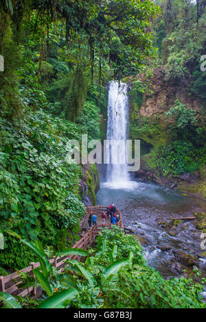 Waterfall at a tropical rainforest in La Paz Waterfall Gardens Costa Rica Stock Photo