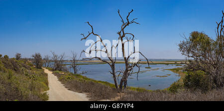 Dirt walking path leads down to vast tidal pools in a California wetlands near Huntington Beach. Stock Photo