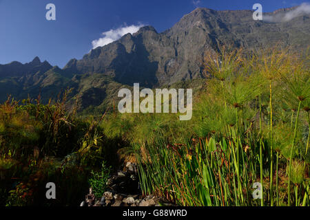 Marla (Cirque de Mafate), La Reunion, France Stock Photo