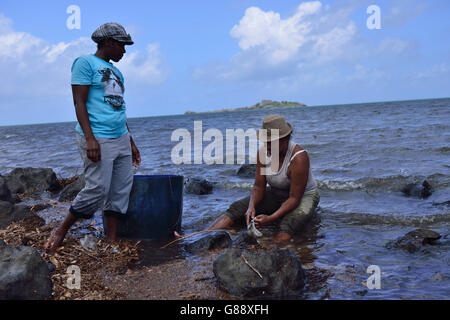 octopus fisherwoman, Anse Baleine, Rodrigues Stock Photo