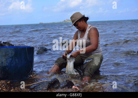 octopus fisherwoman, Anse Baleine, Rodrigues Stock Photo