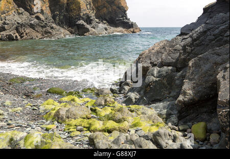 Rocky cove at Cadgwith, Lizard peninsula, Cornwall, England, UK Stock Photo