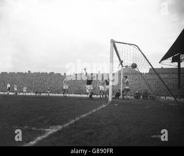 Dark-shirted Welsh players hoist their arms in jubilation as their first goal - scored by inside-left Ivor Allchurch (beside goalpost in rear) - enters the net during the World Cup eliminator against Wales at Ninian Park, Cardiff. Wales won 2-0 and go forward to the finals in Stockholm. Stock Photo