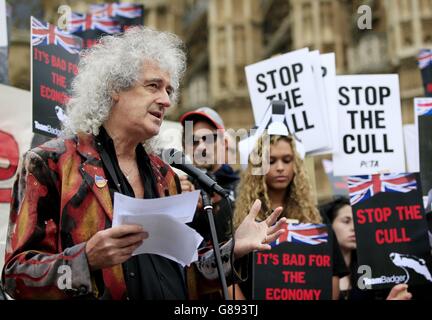 Badger cull protest Stock Photo