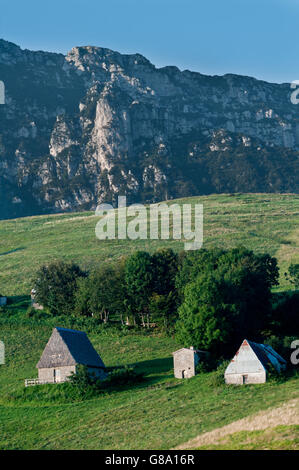 Old farmhouse with a thatched roof, Cima Rest, Valvestino valley, Brescia, Lombardy, Italy, Europe Stock Photo