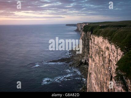 A general view of the RSPB nature reserve at Bempton Cliffs in Yorkshire, as over 250,000 seabirds flock to the chalk cliffs to find a mate and raise their young. Stock Photo