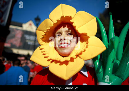 Welsh rugby daffodil sales hats