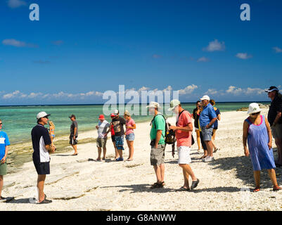 Tourists on the on the beach, Lady Musgrave Island, QLD, Australia Stock Photo