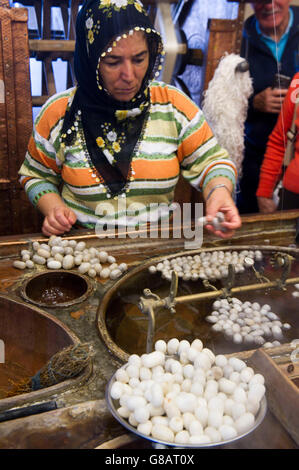 Turkey, In the factory of carpets, silk is obtained raising silkworms. In the photo the woman practice reeling yarn after boiling to get the thread end of the cocoon. Stock Photo