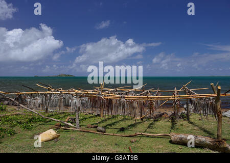 Trestles for hanging up octopus to dry, octopus fisherwoman, Anse Baleine, Rodrigues Stock Photo